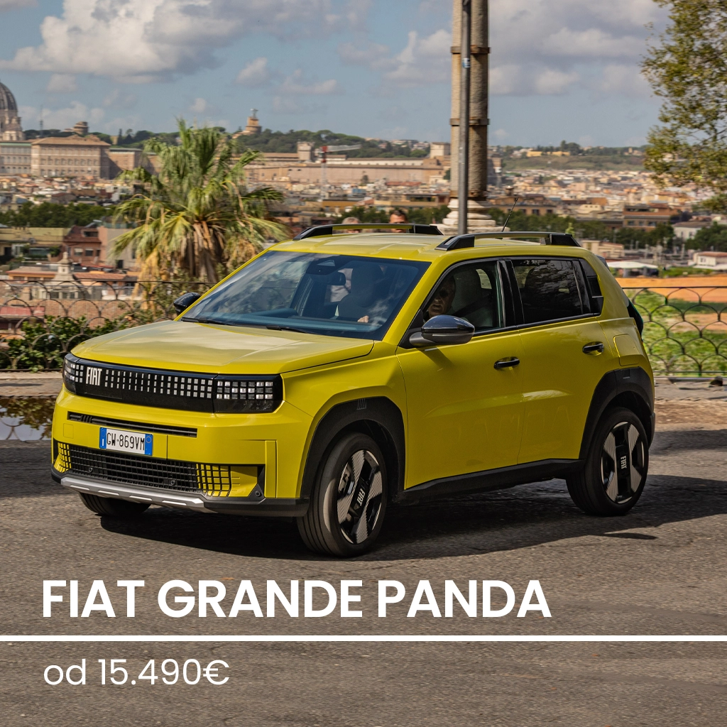Grande Panda ANNUS